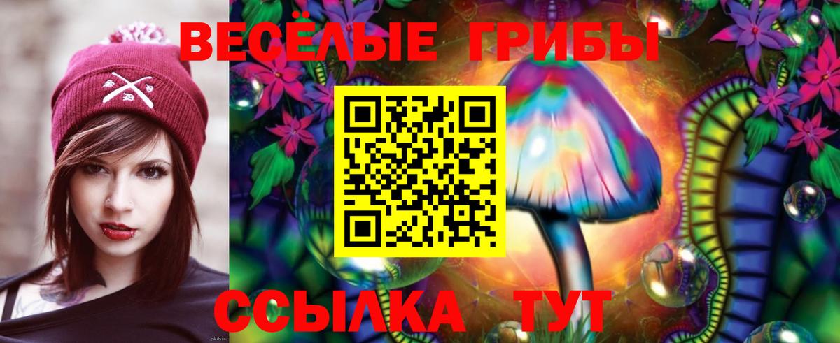 Галлюциногенные грибы Psilocybe Тамбов