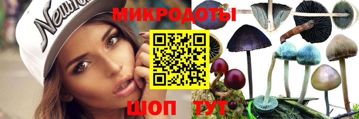 Галлюциногенные грибы Psilocybe  Вход с VPN  Тамбов 